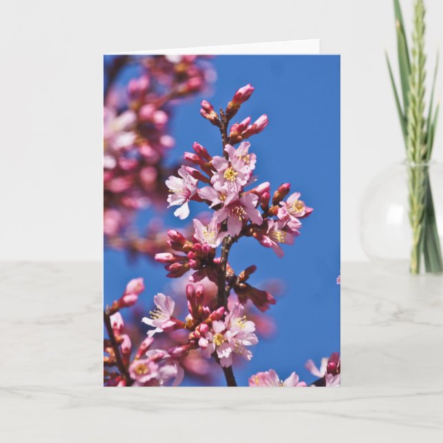 Tarjeta Flores de Cerezo Sakura Tocando Azul (Anverso)