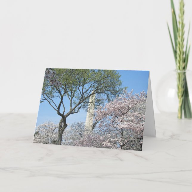 Tarjeta Flores de cerezo y el monumento de Washington en D (Anverso)