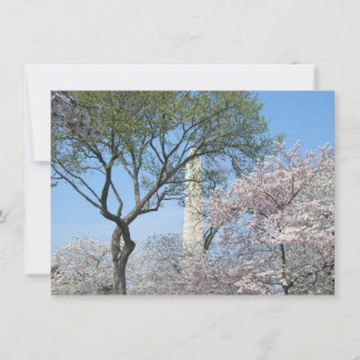 Tarjeta Flores de cerezo y el monumento de Washington en D