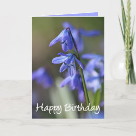 Tarjeta Flores de cilla azul siberica (esquisto de madera)