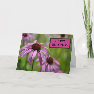Tarjeta Flores de cono de chinacea morada en RHS Wisley