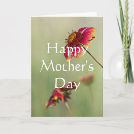 Tarjeta Flores de cono que comienzan a florecer, feliz día