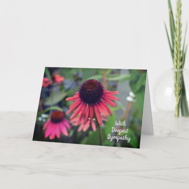 Tarjeta Flores De Cono Rojo Echinacea Con Solidaridad (Anverso)