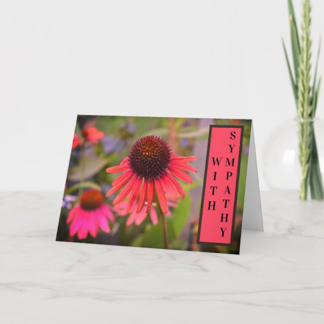 Tarjeta Flores De Cono Rojo Echinacea Con Solidaridad (Anverso)