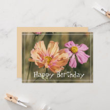 Flores de Cosmea Retro Verano Cumpleaños