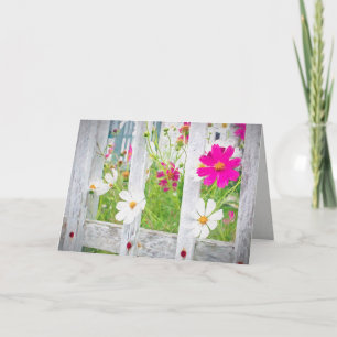 Tarjeta flores de cosmos de verano en la valla