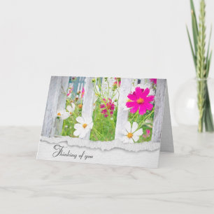 Tarjeta Flores de cosmos rosas y blancas pensando en ti