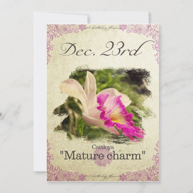 Tarjeta Flores de cumpleaños el 23 de diciembre en "Cattle (Anverso)