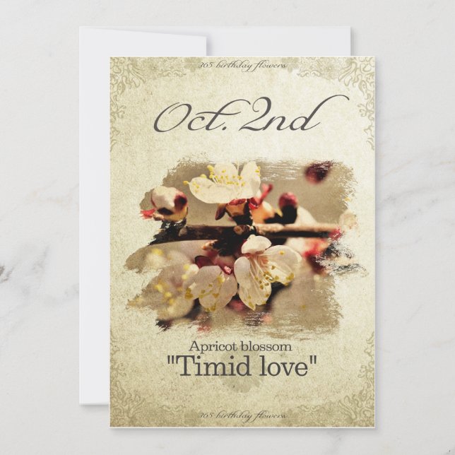 Tarjeta Flores de cumpleaños el 2 de octubre "Florencia de (Anverso)