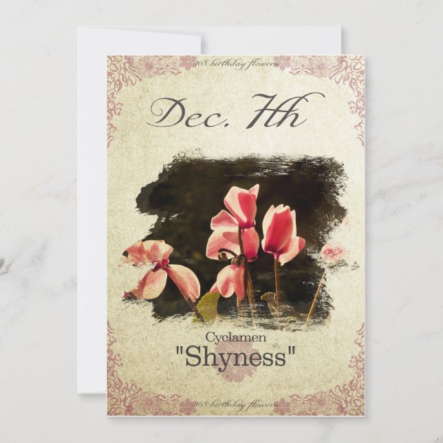 Tarjeta Flores de cumpleaños el 7 de diciembre "Cyclamen" (Anverso)