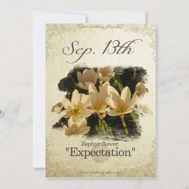 Tarjeta Flores de cumpleaños en la flor de Zephyr el 13 de (Anverso)