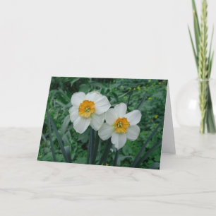 Tarjeta Flores de Daffodil