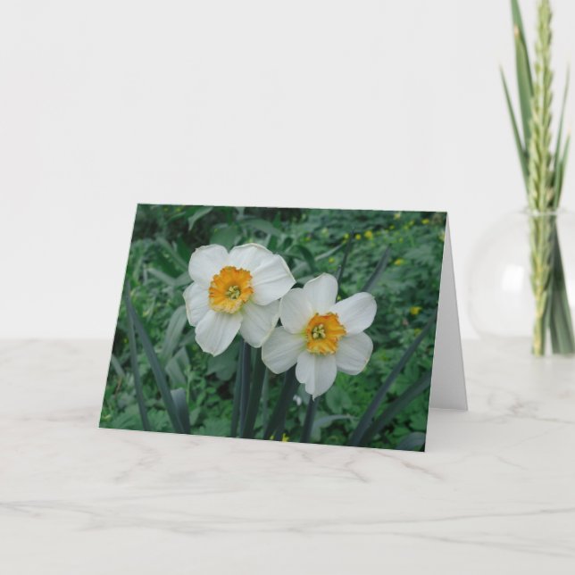 Tarjeta Flores de Daffodil (Anverso)