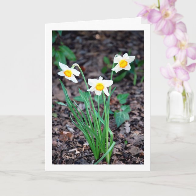 Tarjeta Flores de Daffodil (Orquídea)