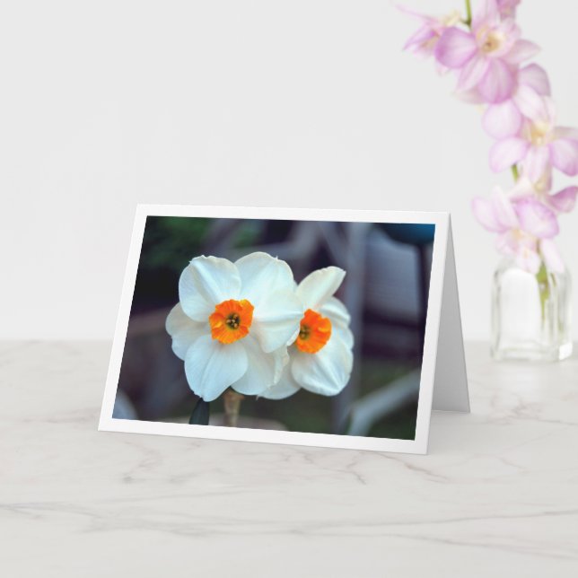 Tarjeta Flores de Daffodil Blancas (Orquídea)