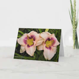 Tarjeta Flores de Daylilies / Flores de Lily / Crema y Púr