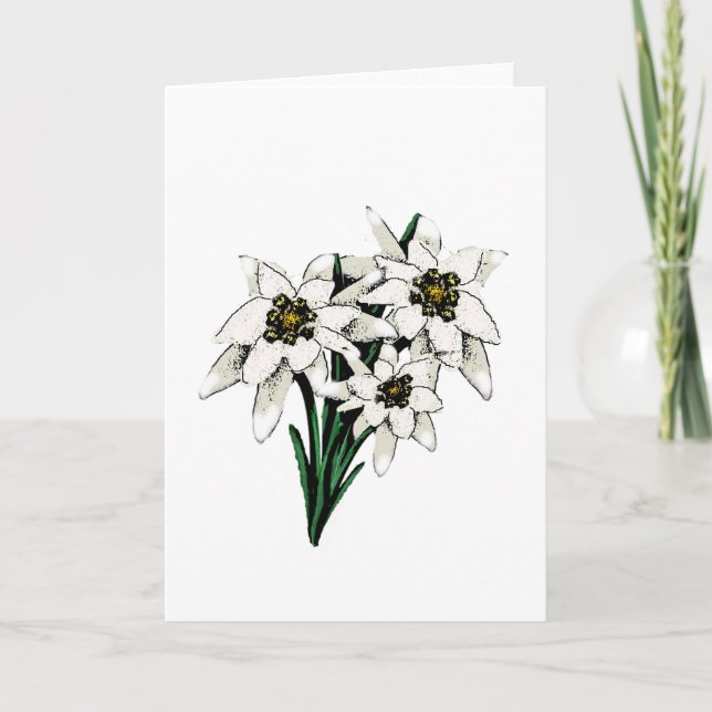Tarjeta Flores de Edelweiss (Anverso)