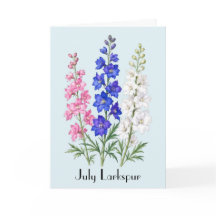 Flores de espuela de julio Saludo