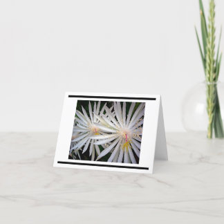 Tarjeta Flores de estrellas de tiro blanco delgadas