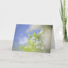 Tarjeta Flores de flores de cerezo en blanco