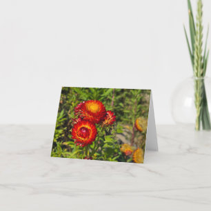 Tarjeta Flores de fresa