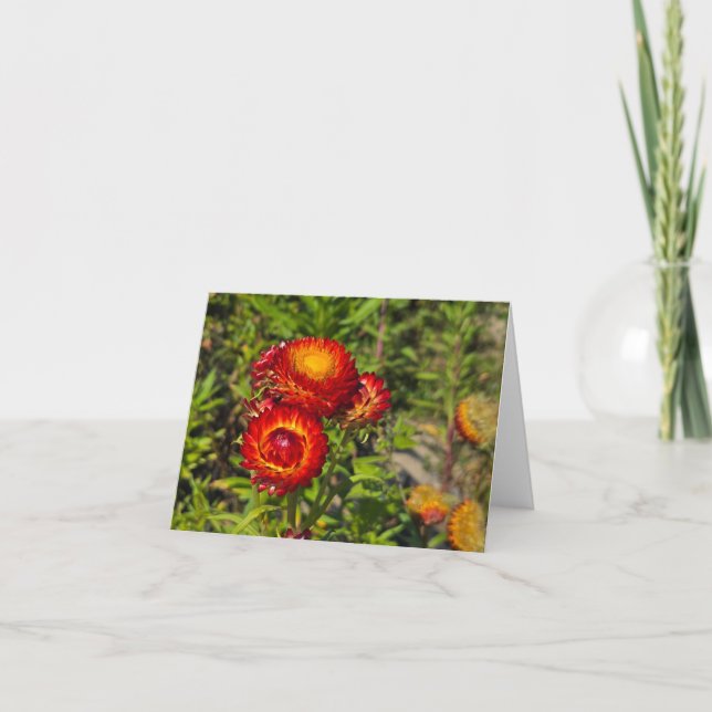 Tarjeta Flores de fresa (Anverso)