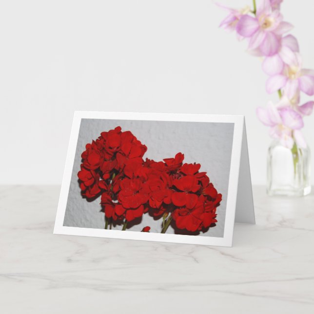 Tarjeta Flores de geranio rojo, retrato floral (Orquídea)
