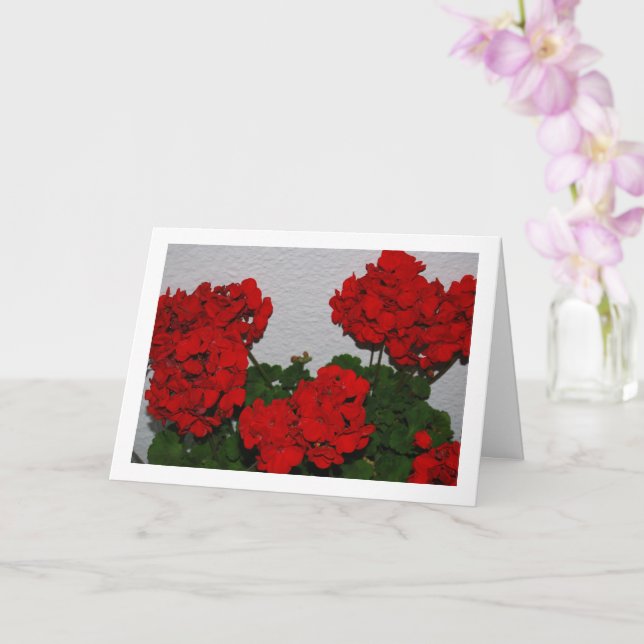 Tarjeta Flores de geranio rojo, retrato floral (Orquídea)