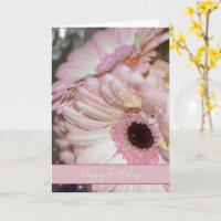 Flores de Gerbera Rosadas Brillan Cumpleaños