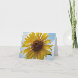 Tarjeta Flores de girasol amarillo vibrantes en el cielo a