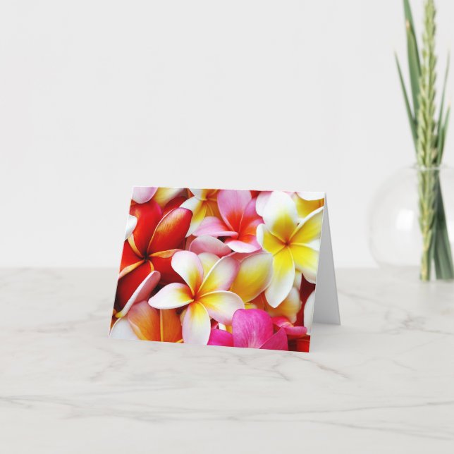 Tarjeta Flores de Hawái en Plumeria Frangipani (Anverso)