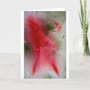Tarjeta Flores de hielo,