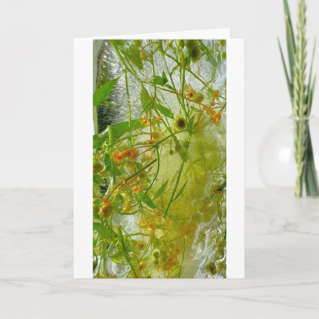 Tarjeta Flores de hielo, (Anverso)