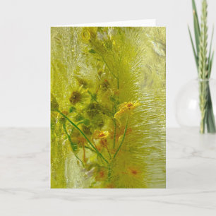 Tarjeta Flores de hielo,