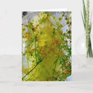 Tarjeta Flores de hielo,