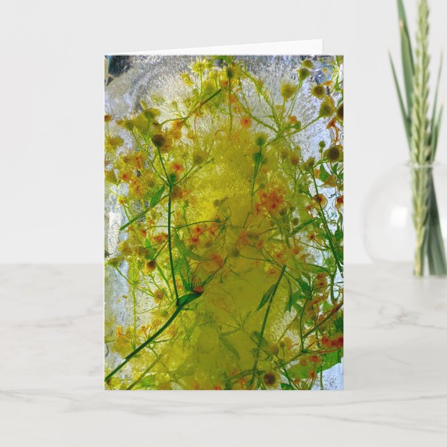 Tarjeta Flores de hielo, (Anverso)