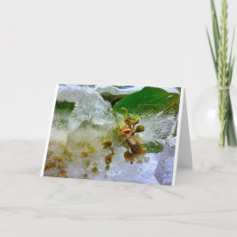Tarjeta Flores de hielo,