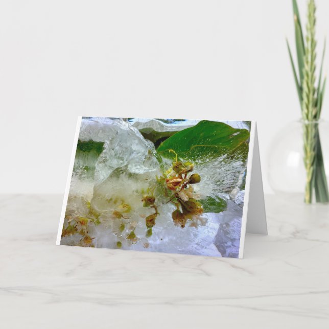 Tarjeta Flores de hielo, (Anverso)