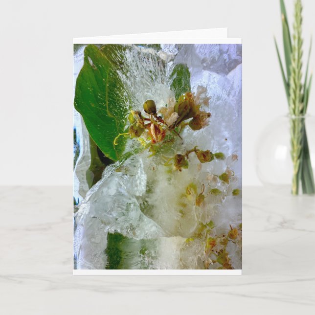 Tarjeta Flores de hielo, (Anverso)