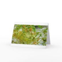 Flores de hielo,
