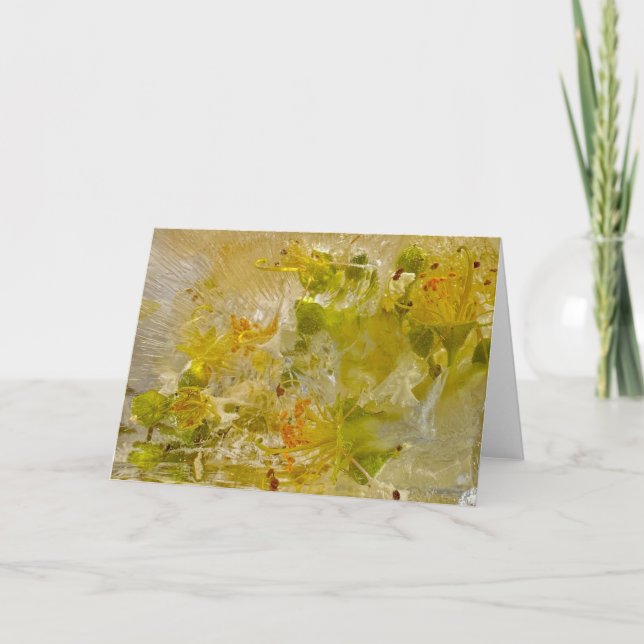 Tarjeta Flores de hielo, (Anverso)