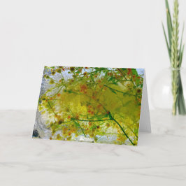 Tarjeta Flores de hielo,