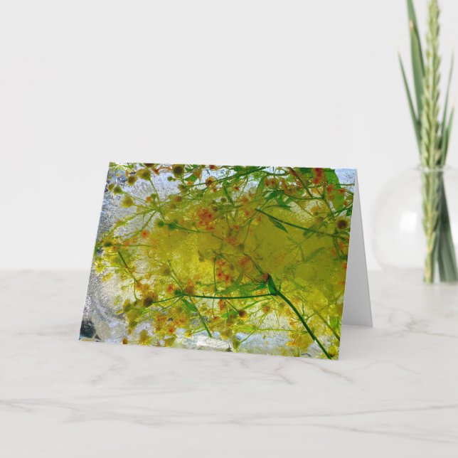 Tarjeta Flores de hielo, (Anverso)