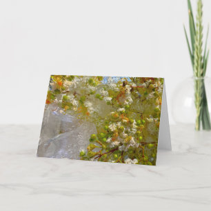 Tarjeta Flores de hielo,