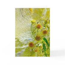 Flores de hielo,
