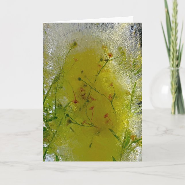 Tarjeta Flores de hielo, (Anverso)