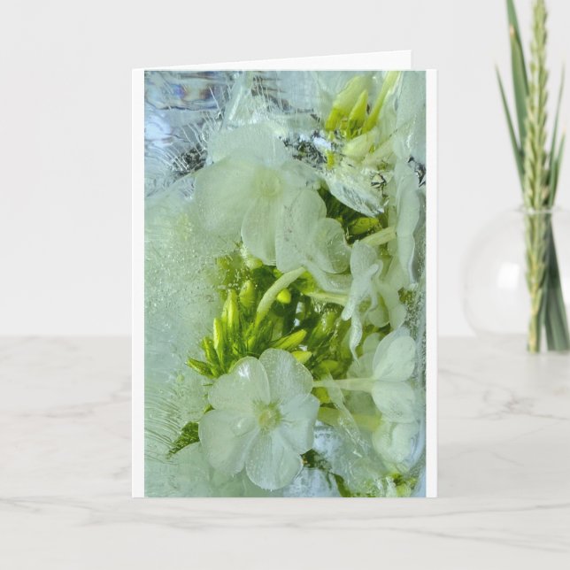 Tarjeta Flores de hielo, (Anverso)