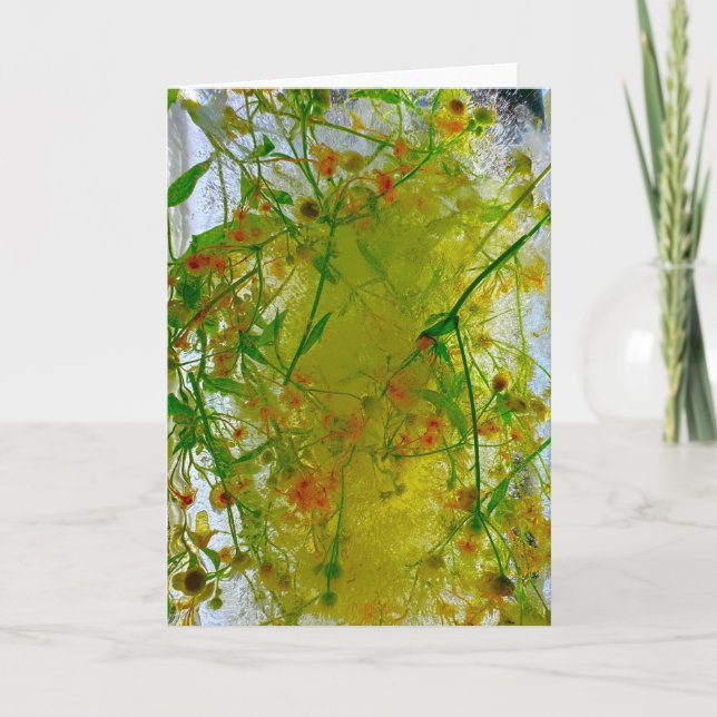 Tarjeta Flores de hielo, (Anverso)