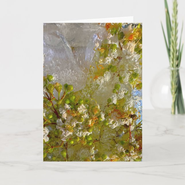 Tarjeta Flores de hielo, (Anverso)