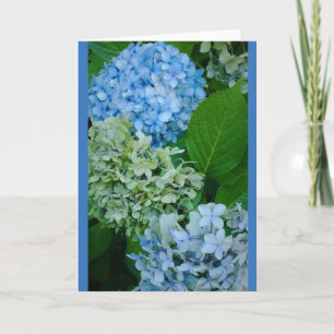 Tarjeta Flores de Hortensia